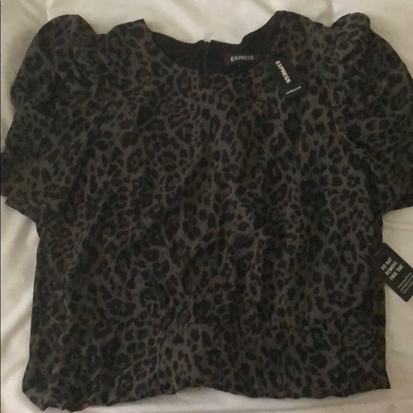 Express Leopard Dress - Picture 3 of 4